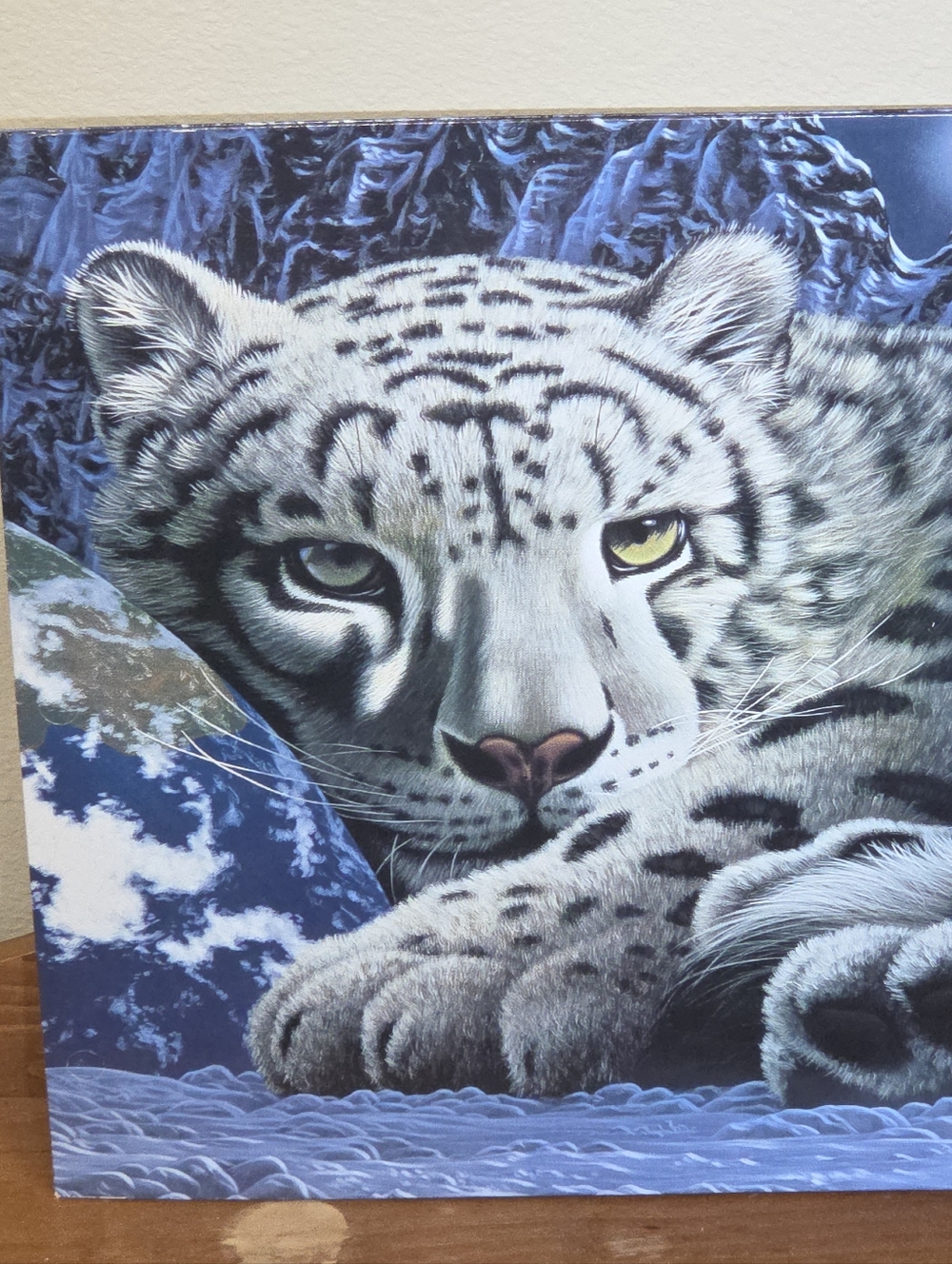 Vintage Mead Schimmel Snow Leopard Earth Folder 1998 Y2K Rare